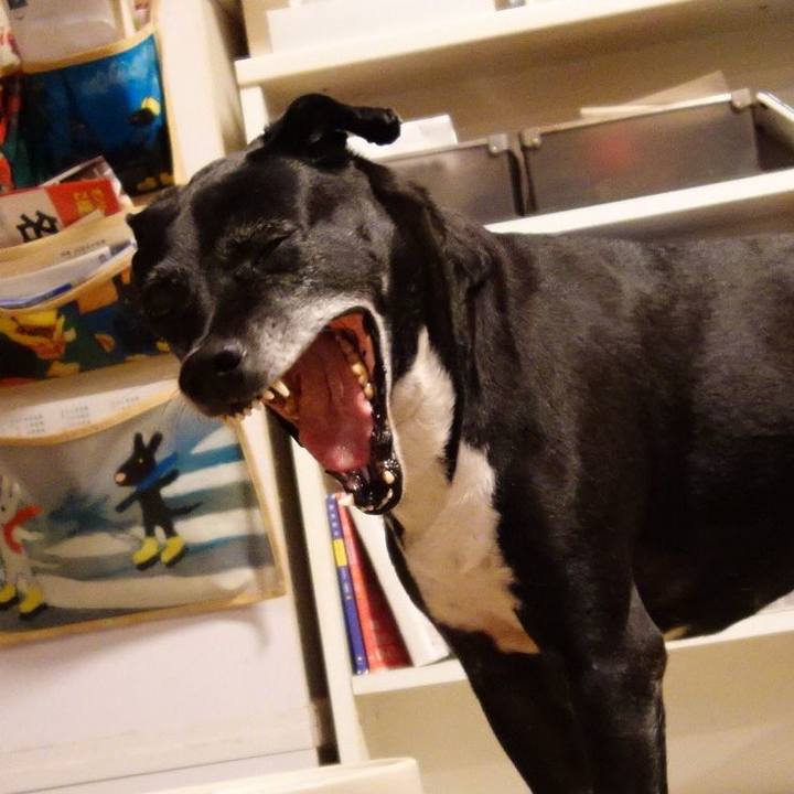 A0872574 f6cb 470b a1e7 48580fcb001c 1740826294516