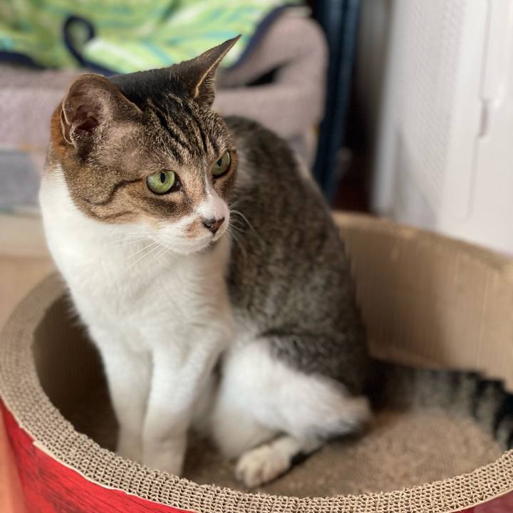 A08731b6 b7ef 4dcd aea4 7e23983d1fdd 1656901044299