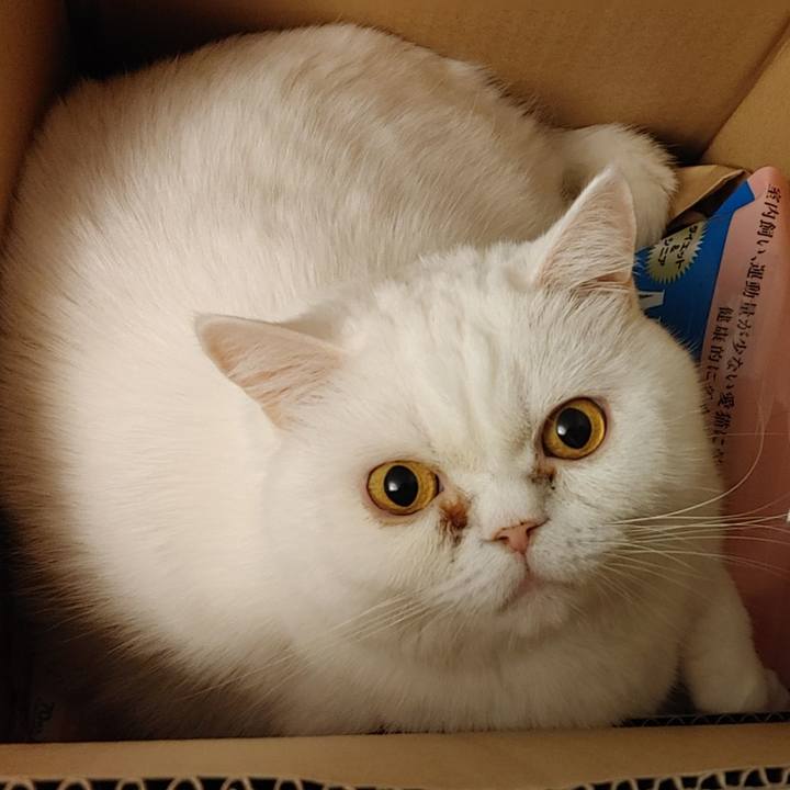 A08762a6 b7c6 43f7 b44b 54003ed513dd 1617103849315