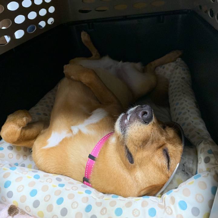 A08779ae b035 40fe 88e3 1728682f2b34 1566826320826