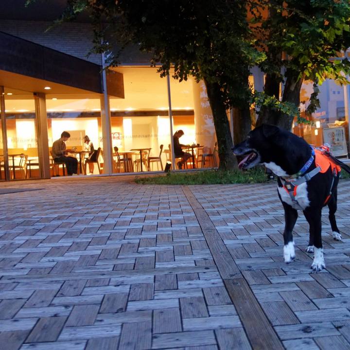 A087c463 3be8 40a5 b366 d990865b5a48 1721991809900