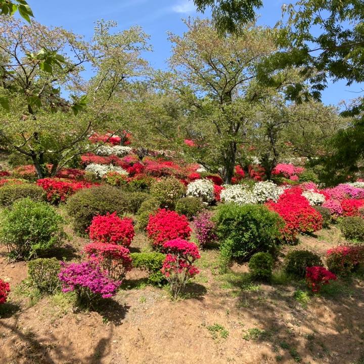 A087f822 b5cb 4ecb 93e0 3fba2076e0c0 1681107830402