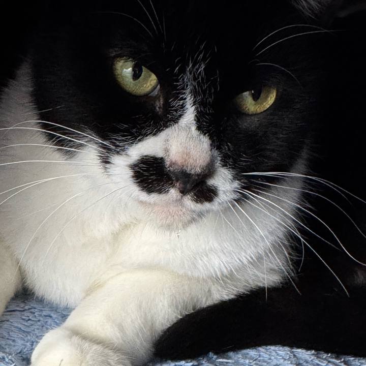 A0881a4c 8bb5 403e 9b61 59c69c5747ef 1766810937413