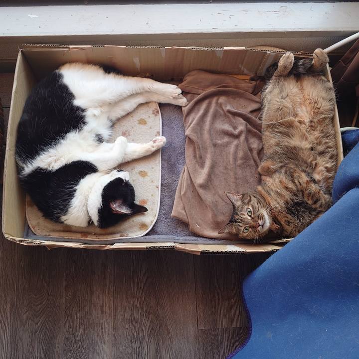 A088a90b 5f01 4cc1 8052 55164b9468cd 1761807617272