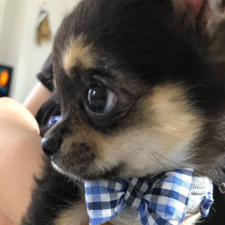 A088b3ef 64d6 48c7 b17a f46b2f914597 1536532163250