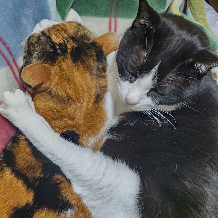 A088ed2c f7c9 45be ba24 ba7e36302f78 1639314564991