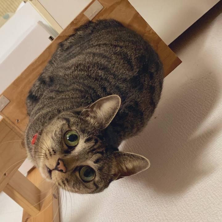 A089070b 8f2f 4385 a9ab 5fc671486013 1580268962349