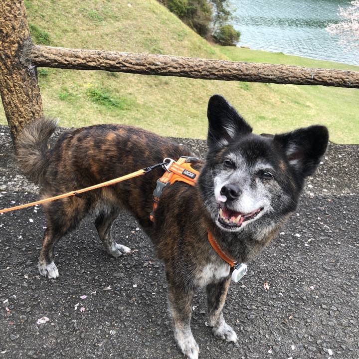 A089187b 427b 4295 abd0 e57d9b5343d9 1713602666587