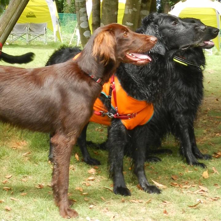 A089233f 5a96 465e b225 19dd75b4c354 1566736280620