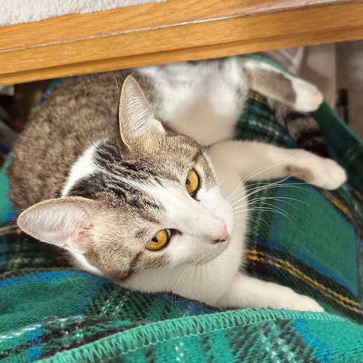 A0894452 fb6f 4295 a57d 5850f62005f6 1767857639584