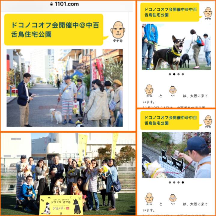 A0899274 8c8e 4165 af6a 9b4d69258faa 1541900445062