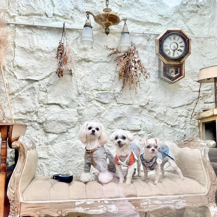 A089c1ce 4109 497f af47 2758d9ecbe48 1675154732838