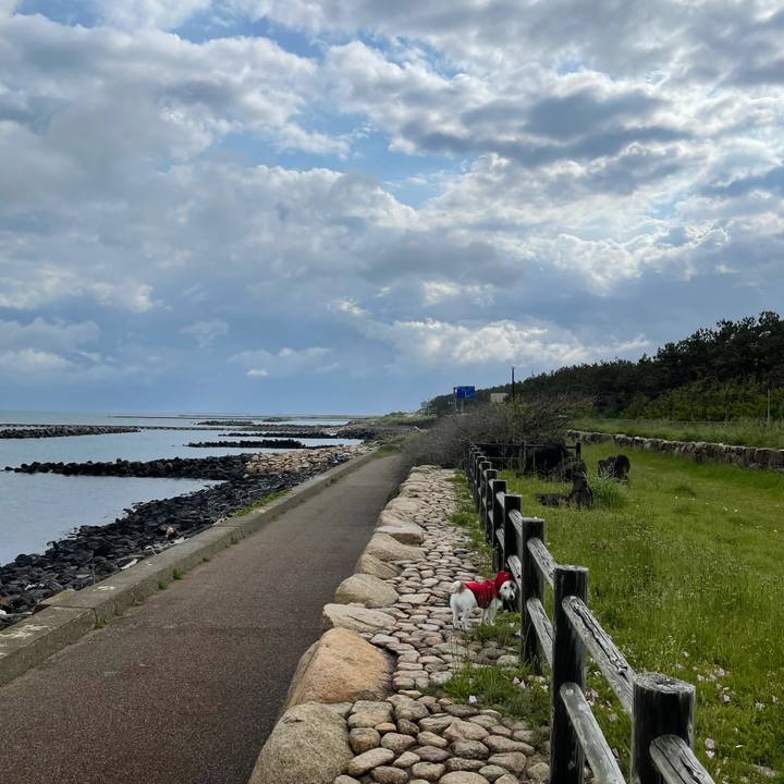 A089ced5 6201 42b4 9547 bc712e9aa00a 1622246919166