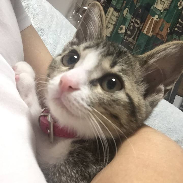 A08a01c3 6517 4155 9267 0f213ea268e8 1655299133793