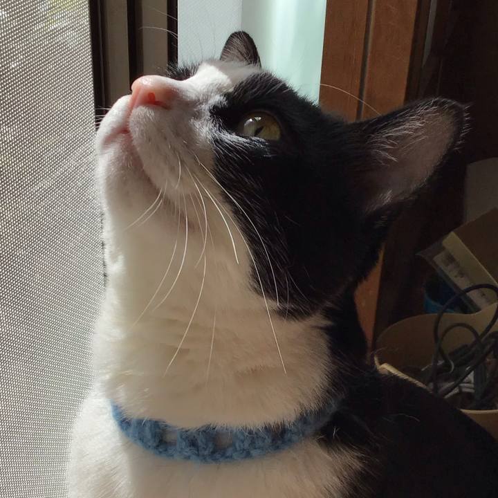 A08a0438 3ceb 475b af02 96fa087f459e 1743158347885