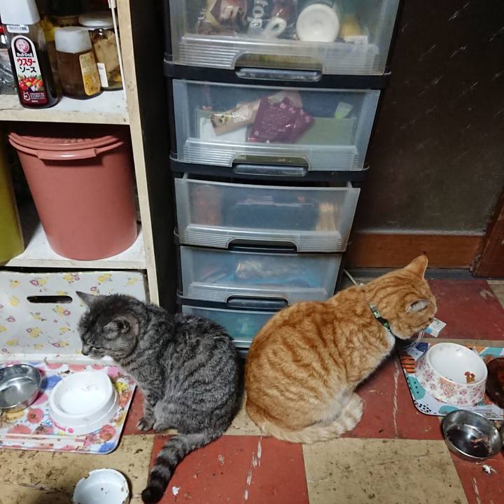 A08a2713 51d4 4ca1 ac6a 9d2268fb13f0 1583268063908