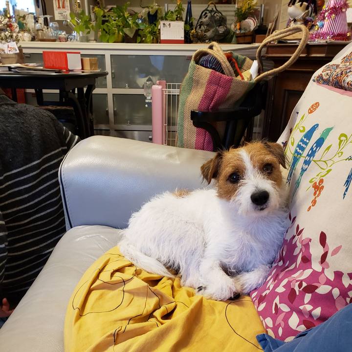 A08a4c9c db2c 4c16 ba8d e55489a84233 1573975488871