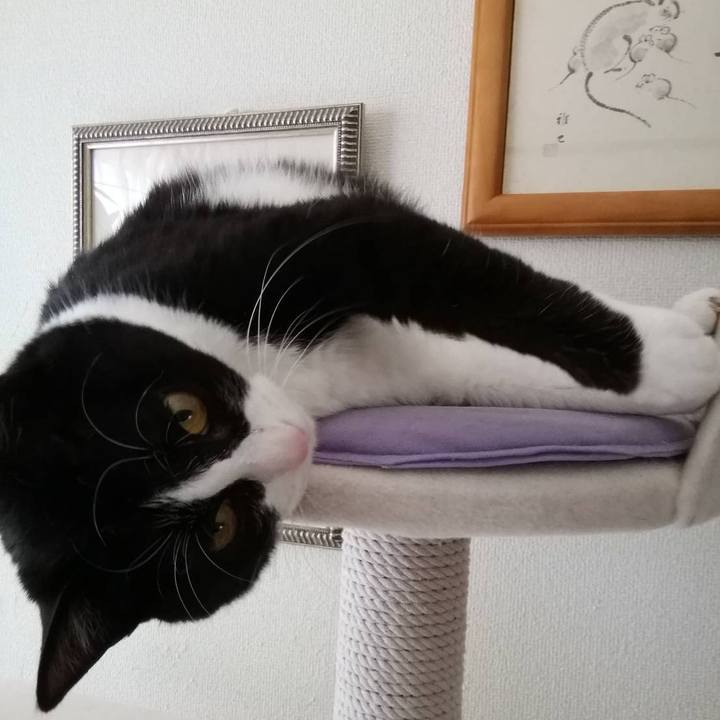 A08a4fcc fa38 4ffe 9406 70e5e2f1aaa9 1561104027199