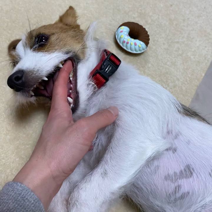 A08a6b2c e4d8 41fa 880f cd1d61ca8430 1640781438815