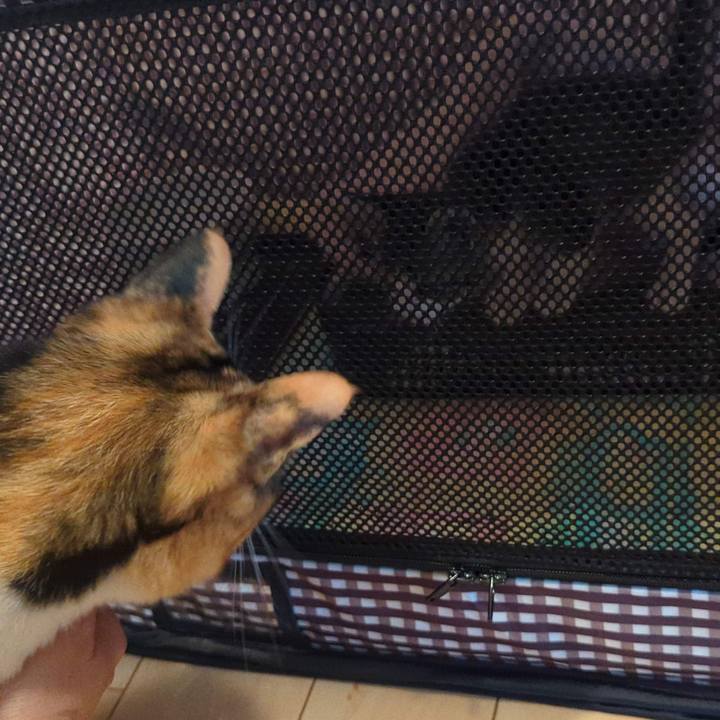 A08a9992 7420 485f 8283 d4c4b260c703 1717563730760