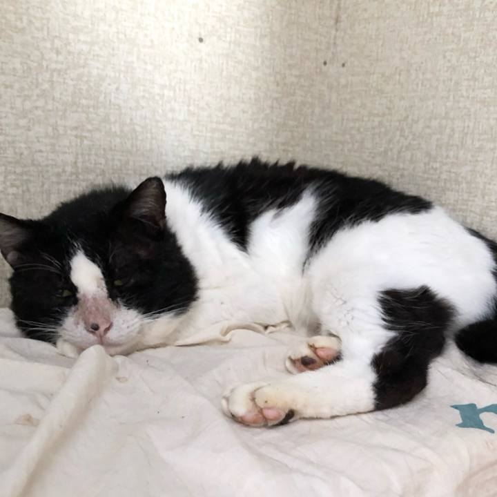 A08abc4c bad9 4e9d b1ad e4e084fc524a 1618068906196