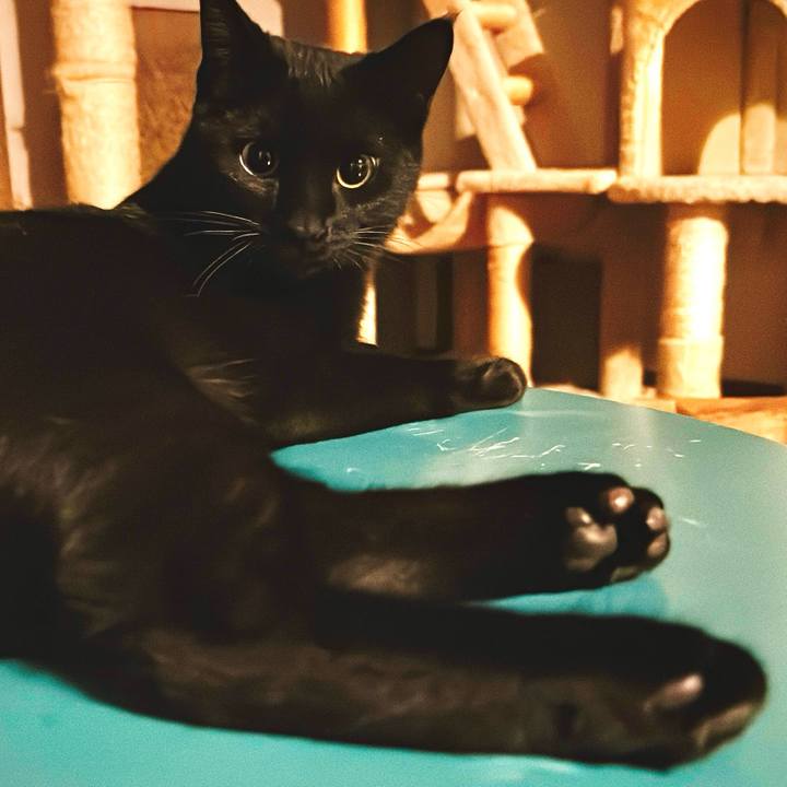 A08ac1b0 b5ca 4162 b0fd 3452a2a6f9f9 1736935769054