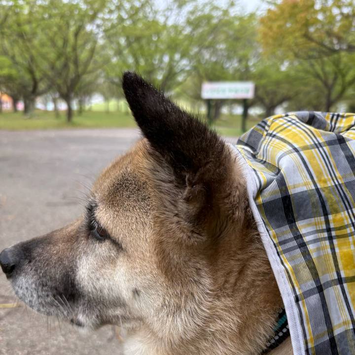 A08ae445 31da 4cc3 809b 0856f0e658a1 1745150663262