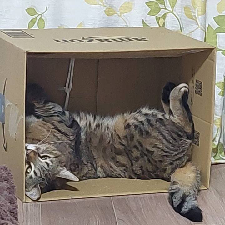 A08afc61 d5a3 4c72 b724 71db85ad6885 1646883900561