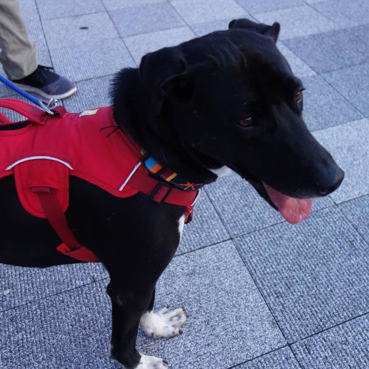 A08b08d4 aebc 4350 9a26 340e6bddb3f7 1591699981483