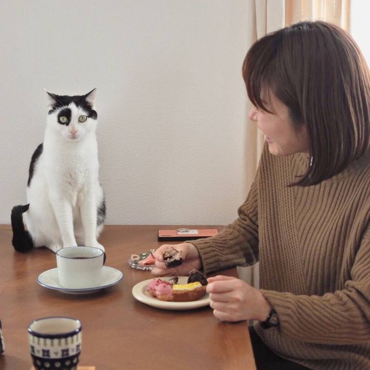 A08b0cee 5cc6 4e6a af12 0702aea8c9f9 1580717504876