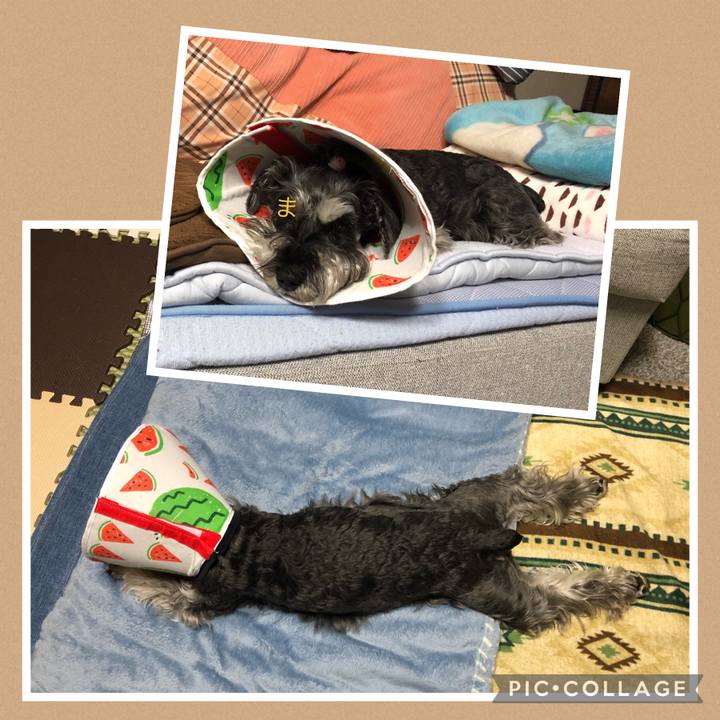 A08b404d df64 4d87 9640 d349f850926a 1685158807515