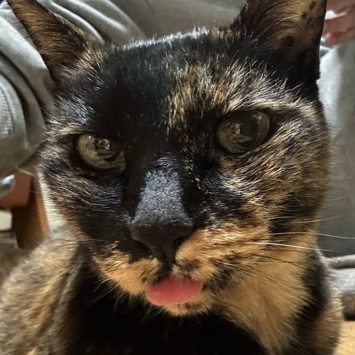 A08b55c1 3c6b 47a4 a269 be64c4737ab4 1773965185226