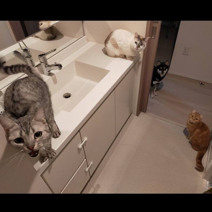 A08b5edc a966 432f b122 9fd5b56ec4dd 1607522443427