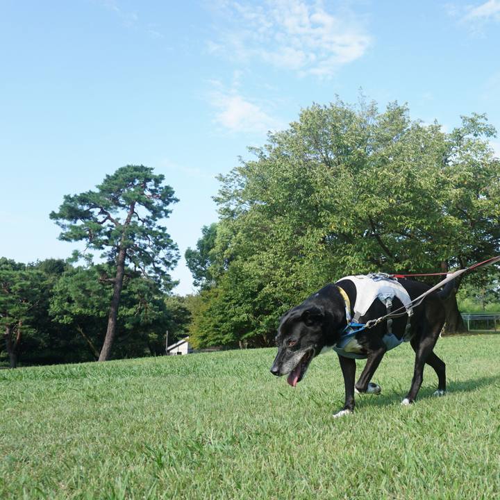 A08b788f c6e0 40da ae4c 36aa726cdee2 1755387618562