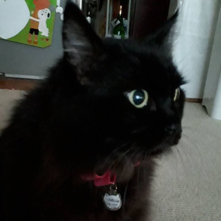 A08b7e94 f7e1 409b 9b55 a5a6bfae6617 1542491301243