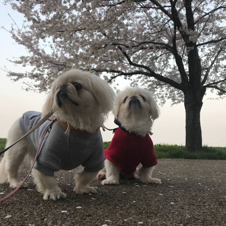 A08b9a06 7ac4 4520 82be 3ec4a451b246 1522321177496