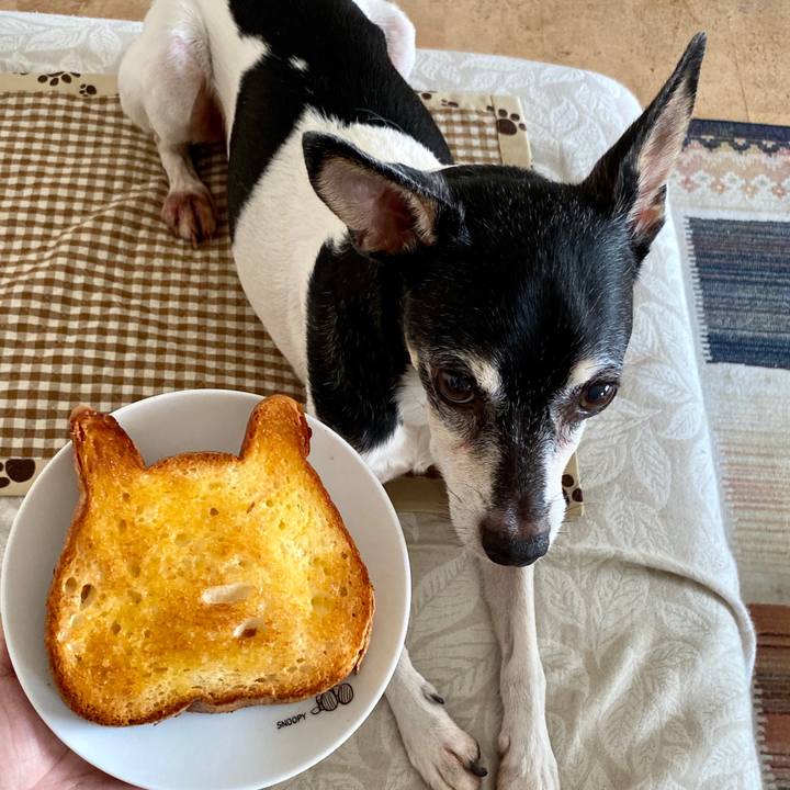 A08b9aa5 2d3f 4216 a8a9 c63d979a61de 1597702580893