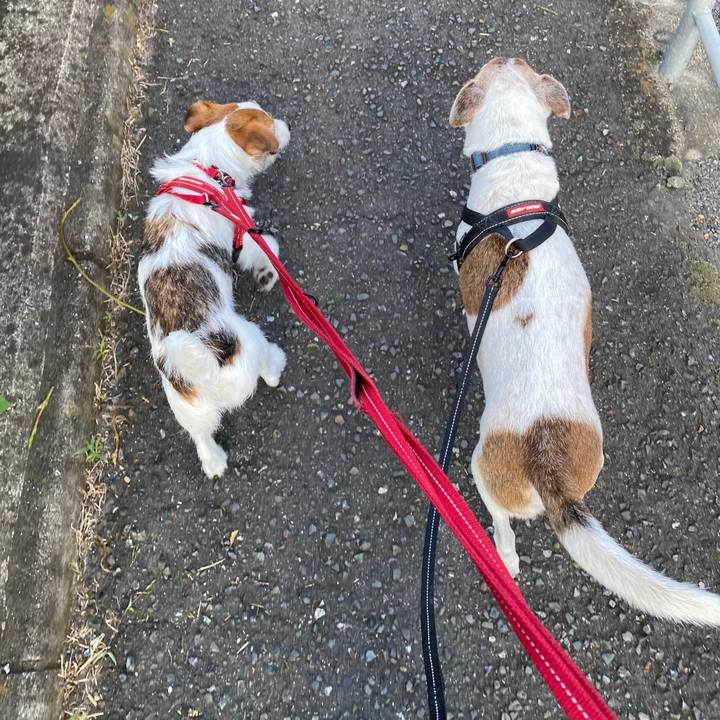 A08ba621 fdea 415a 8dbd 4b65e8a91686 1627333782430