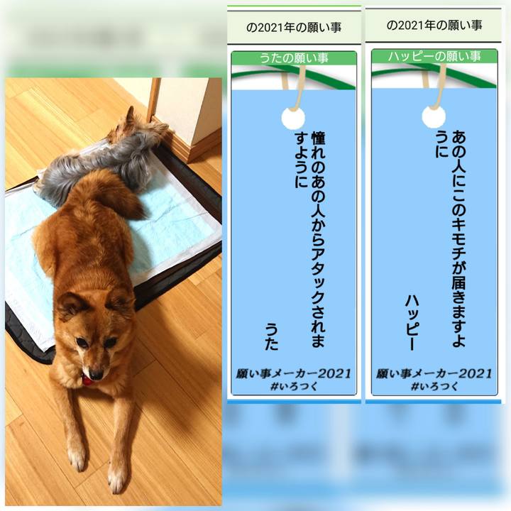 A08bae9d 4506 401b a89f 1e9edec57e7f 1625693709064