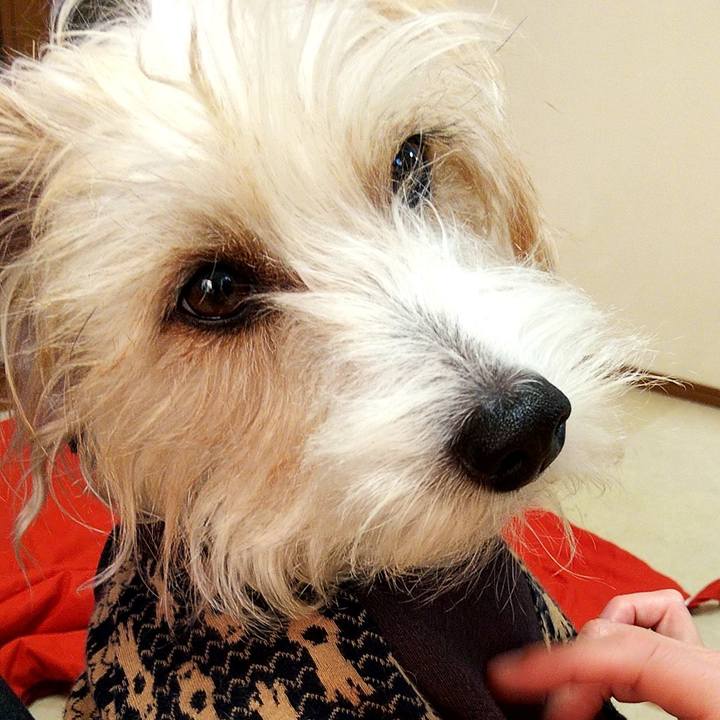 A08bbde1 08bf 4307 b09a d675092bf748 1580626125092