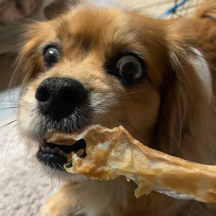 A08bc870 2406 4ad9 baff 8ee3285c3977 1673559862173