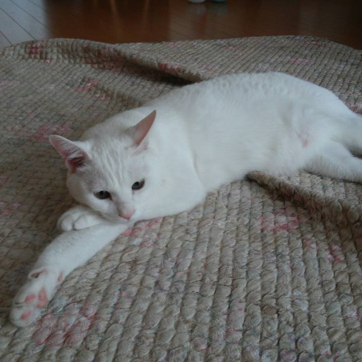 A08bdda6 67f3 4667 bbb7 fcec71d8eea4 1526957448149