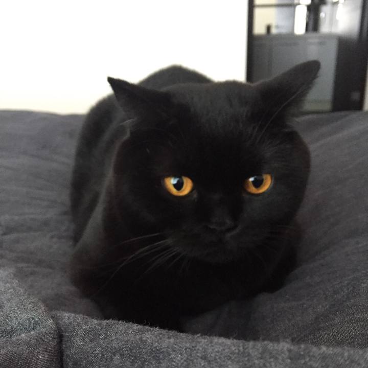 A08c1e4a 309b 412e 8c54 426441d2df5e 1543529183096