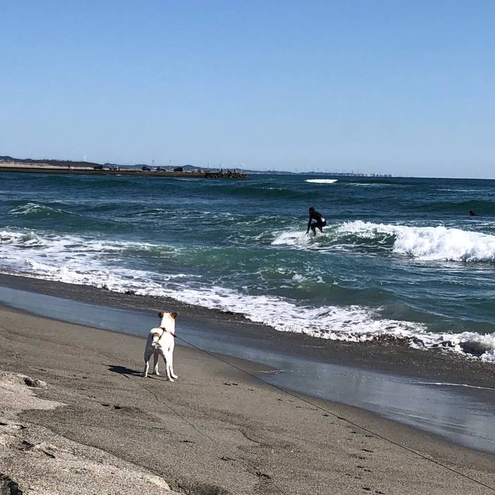 A08c3169 295f 4078 9085 3d24907f57e7 1540113142598