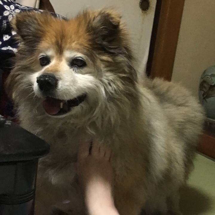 A08c98ff 8b7d 4479 9e41 b453067e73ae 1579826084792