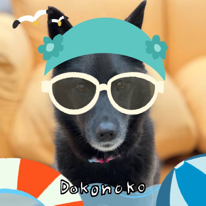 A08cb54b 56ab 47d3 9ba3 20e04efe0631 1723170750678