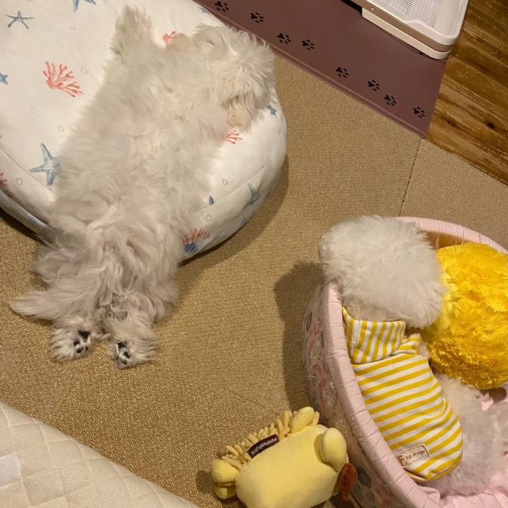 A08cbc45 0481 4dca a58c 5a17beed2752 1746880334048