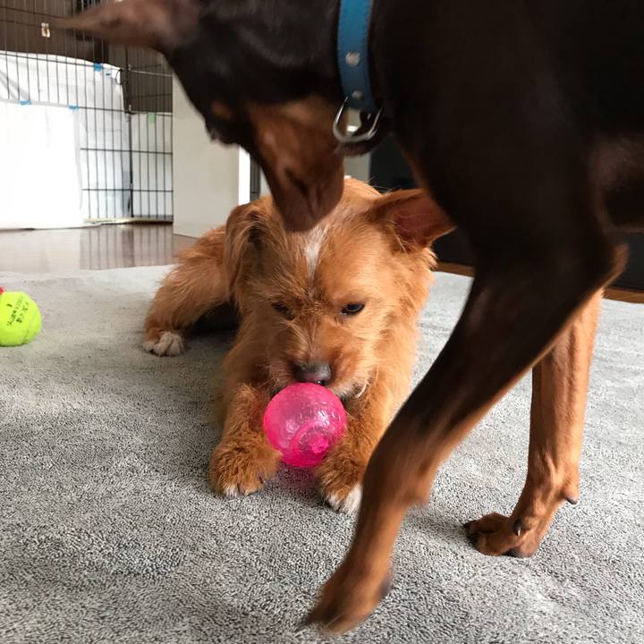 A08cda37 d22a 4354 bbc6 cadd202d9a0b 1545383789690