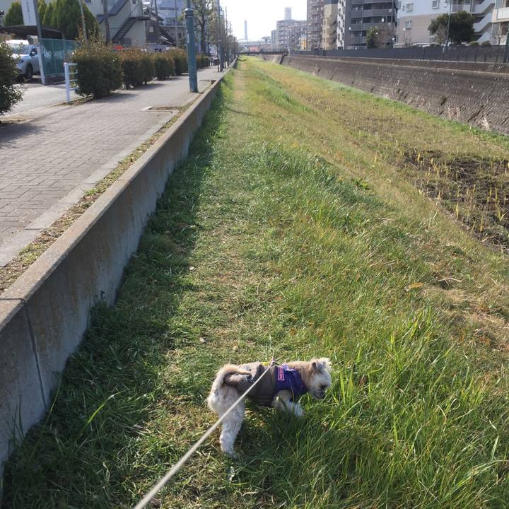 A08d3dc5 965c 42a9 b082 23dc592113a5 1548484841884