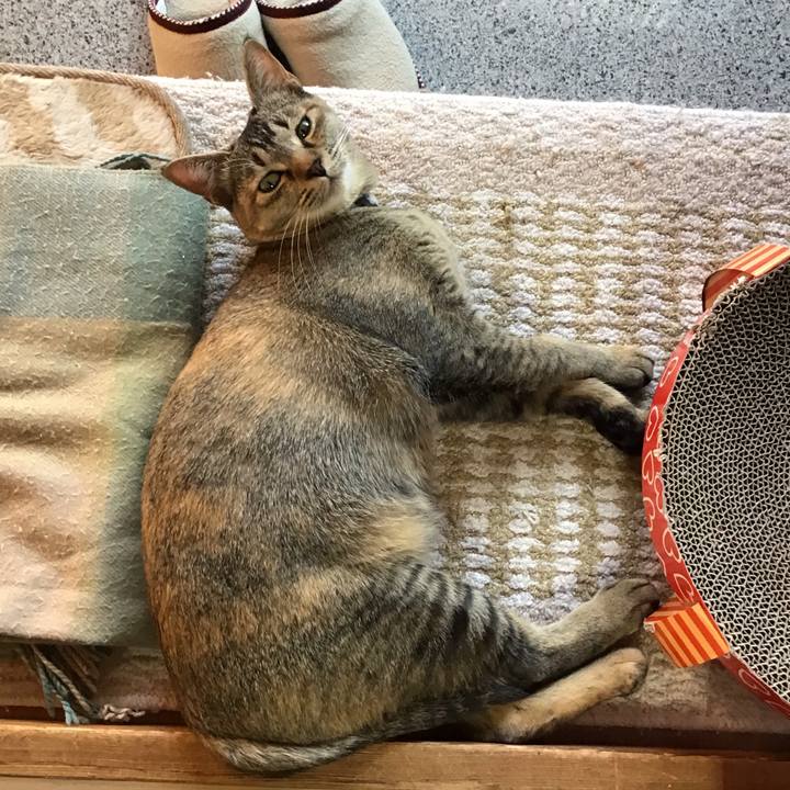 A08d3ea2 a227 436a 9d93 aad2554e6ef2 1580278970920